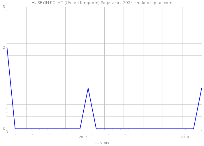 HUSEYIN POLAT (United Kingdom) Page visits 2024 
