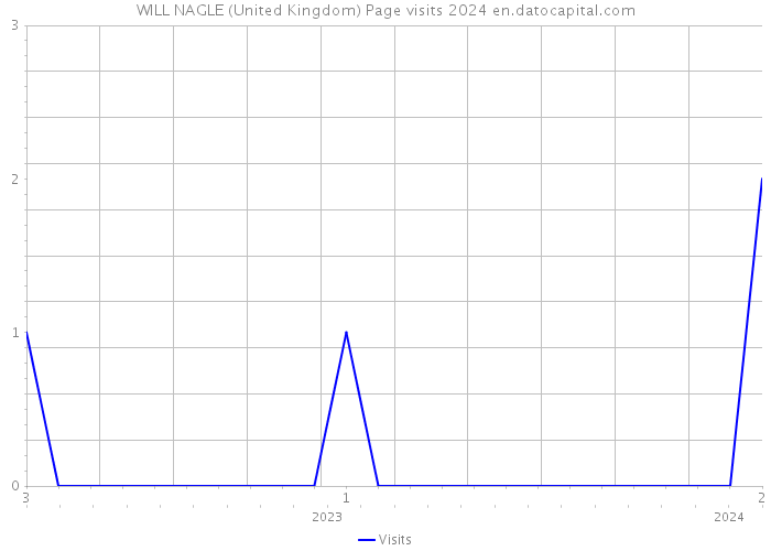 WILL NAGLE (United Kingdom) Page visits 2024 
