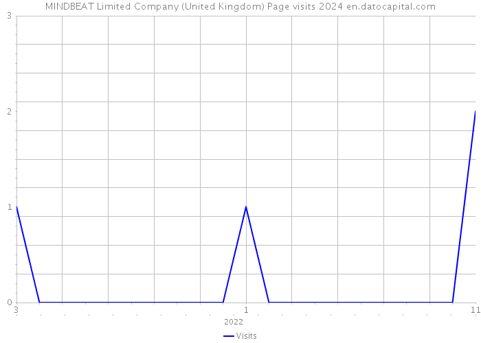 MINDBEAT Limited Company (United Kingdom) Page visits 2024 
