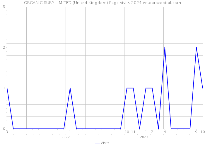 ORGANIC SURY LIMITED (United Kingdom) Page visits 2024 