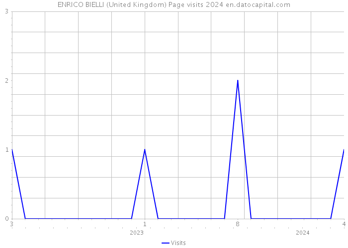 ENRICO BIELLI (United Kingdom) Page visits 2024 