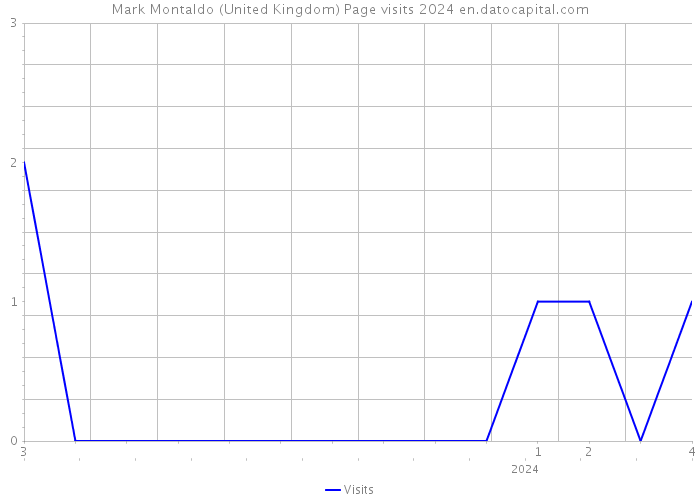 Mark Montaldo (United Kingdom) Page visits 2024 