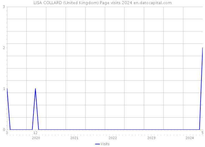 LISA COLLARD (United Kingdom) Page visits 2024 