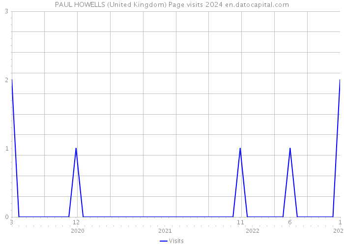 PAUL HOWELLS (United Kingdom) Page visits 2024 
