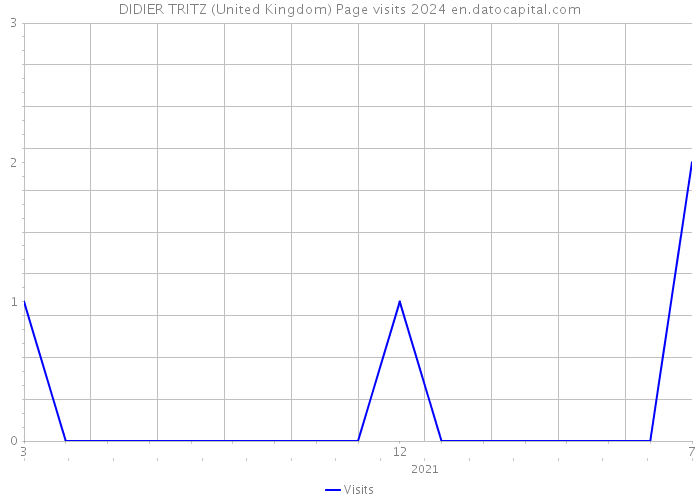 DIDIER TRITZ (United Kingdom) Page visits 2024 