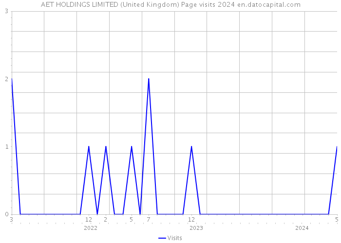 AET HOLDINGS LIMITED (United Kingdom) Page visits 2024 