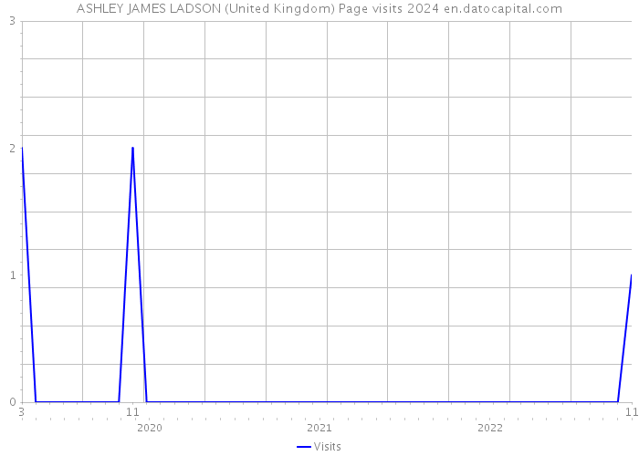ASHLEY JAMES LADSON (United Kingdom) Page visits 2024 
