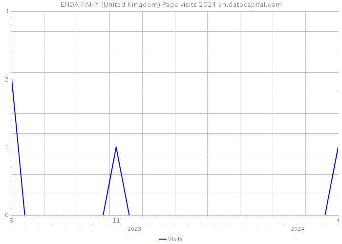 ENDA FAHY (United Kingdom) Page visits 2024 