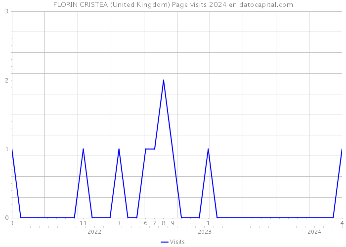 FLORIN CRISTEA (United Kingdom) Page visits 2024 