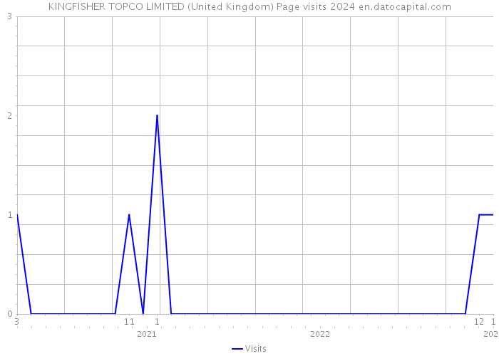 KINGFISHER TOPCO LIMITED (United Kingdom) Page visits 2024 