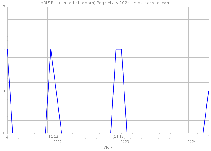 ARIE BIJL (United Kingdom) Page visits 2024 