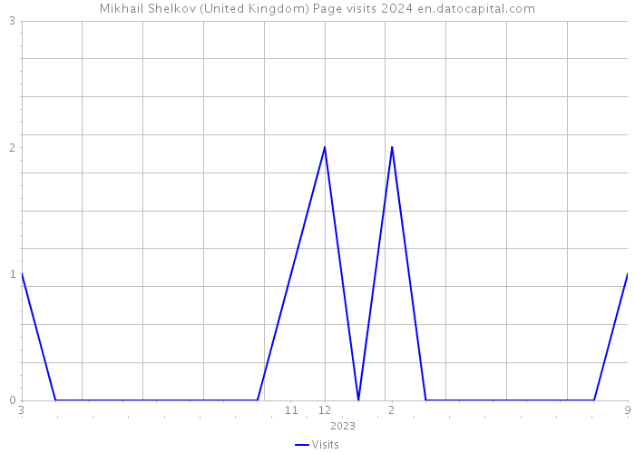 Mikhail Shelkov (United Kingdom) Page visits 2024 