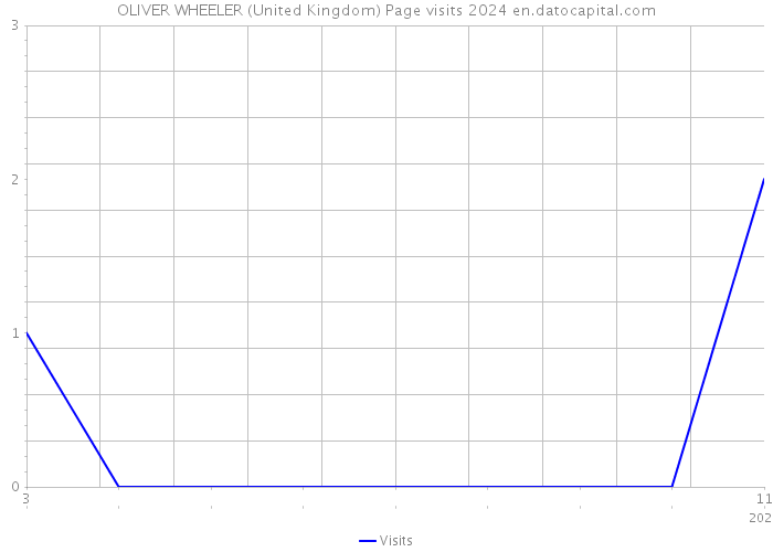 OLIVER WHEELER (United Kingdom) Page visits 2024 