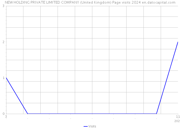 NEW HOLDING PRIVATE LIMITED COMPANY (United Kingdom) Page visits 2024 