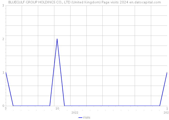 BLUEGULF GROUP HOLDINGS CO., LTD (United Kingdom) Page visits 2024 