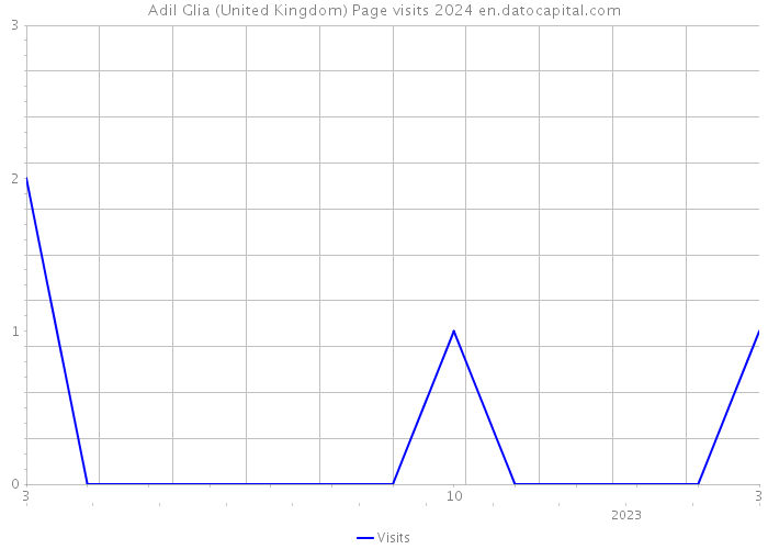 Adil Glia (United Kingdom) Page visits 2024 