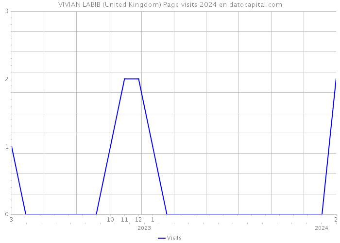 VIVIAN LABIB (United Kingdom) Page visits 2024 