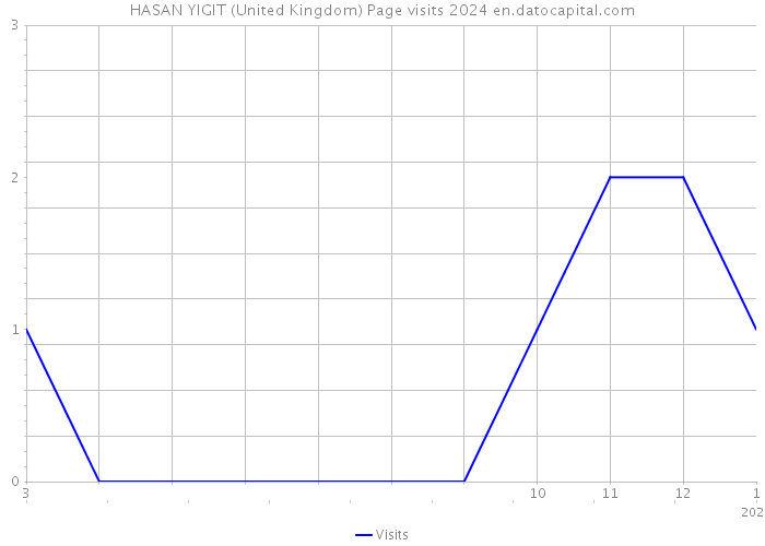 HASAN YIGIT (United Kingdom) Page visits 2024 