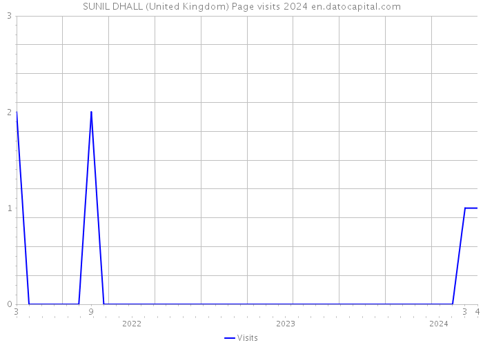 SUNIL DHALL (United Kingdom) Page visits 2024 