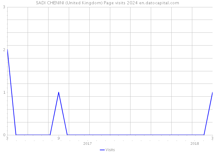 SADI CHENINI (United Kingdom) Page visits 2024 