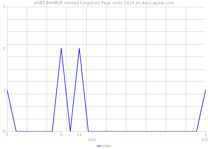 ANES BAMBUR (United Kingdom) Page visits 2024 