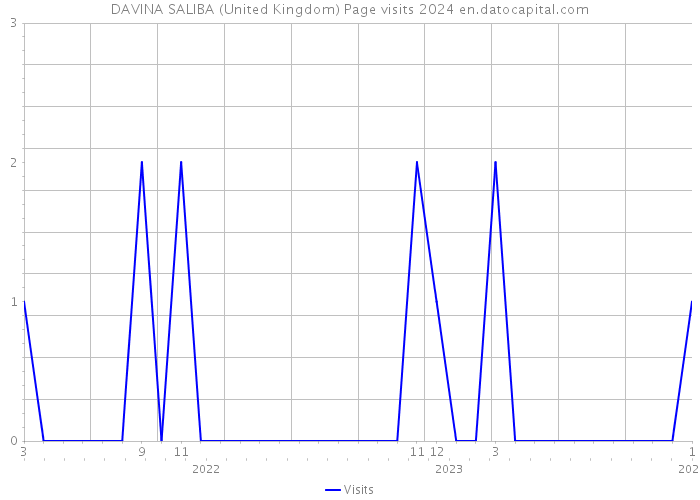 DAVINA SALIBA (United Kingdom) Page visits 2024 