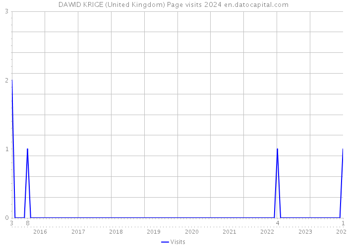 DAWID KRIGE (United Kingdom) Page visits 2024 