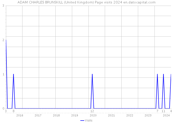 ADAM CHARLES BRUNSKILL (United Kingdom) Page visits 2024 