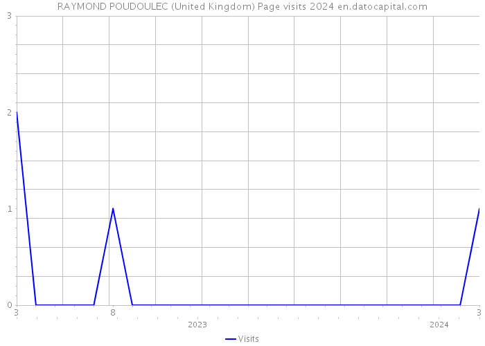 RAYMOND POUDOULEC (United Kingdom) Page visits 2024 