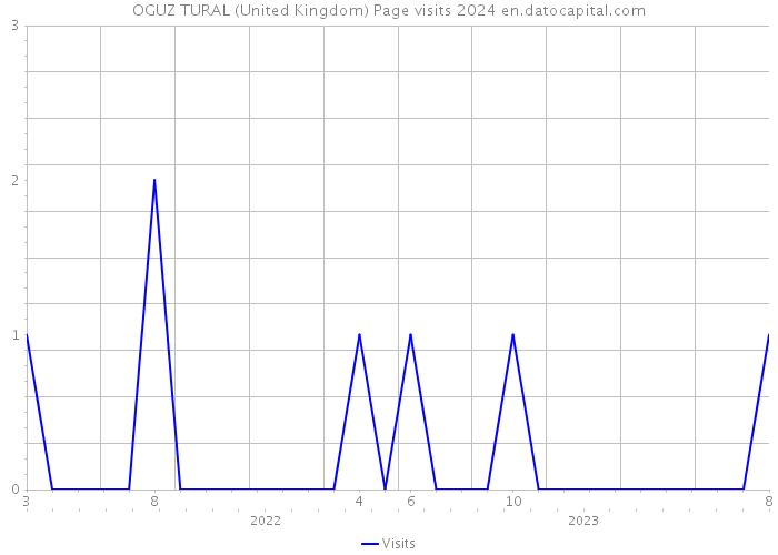 OGUZ TURAL (United Kingdom) Page visits 2024 