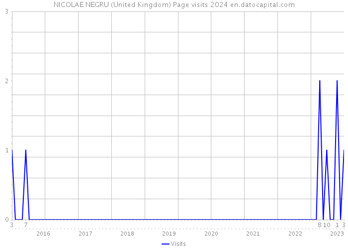 NICOLAE NEGRU (United Kingdom) Page visits 2024 