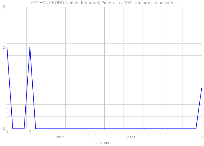 ANTHONY RODO (United Kingdom) Page visits 2024 