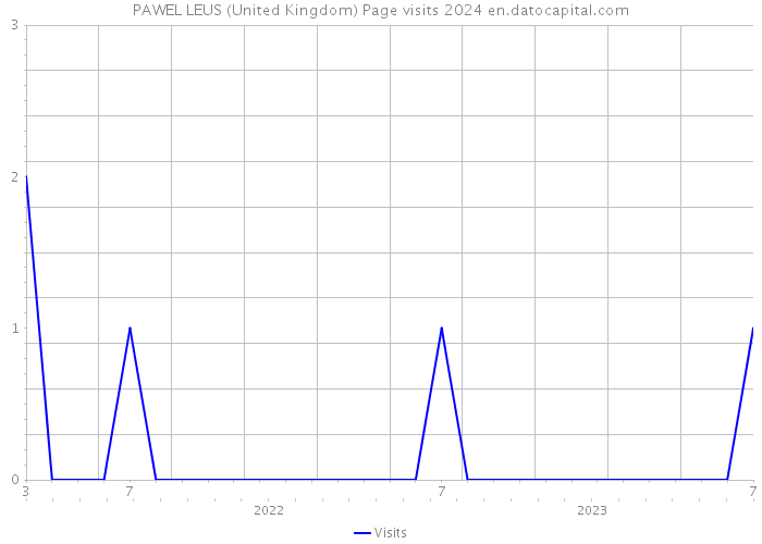 PAWEL LEUS (United Kingdom) Page visits 2024 