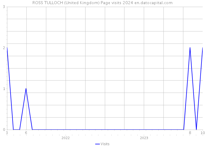 ROSS TULLOCH (United Kingdom) Page visits 2024 
