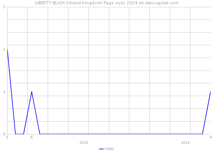 LIBERTY BLIGH (United Kingdom) Page visits 2024 