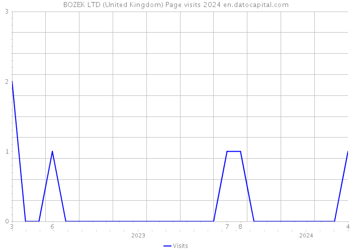BOZEK LTD (United Kingdom) Page visits 2024 