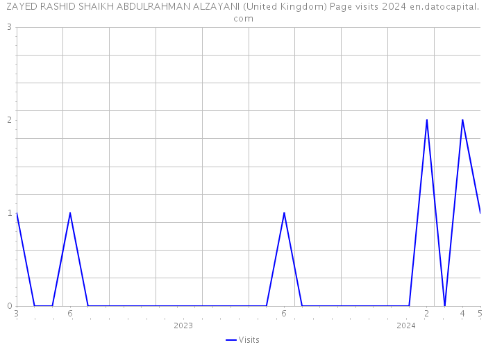 ZAYED RASHID SHAIKH ABDULRAHMAN ALZAYANI (United Kingdom) Page visits 2024 