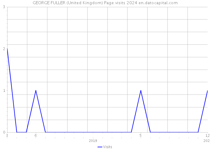 GEORGE FULLER (United Kingdom) Page visits 2024 