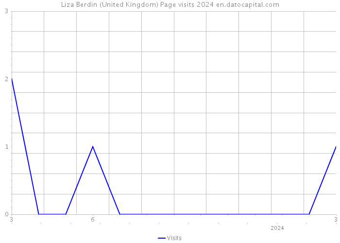 Liza Berdin (United Kingdom) Page visits 2024 