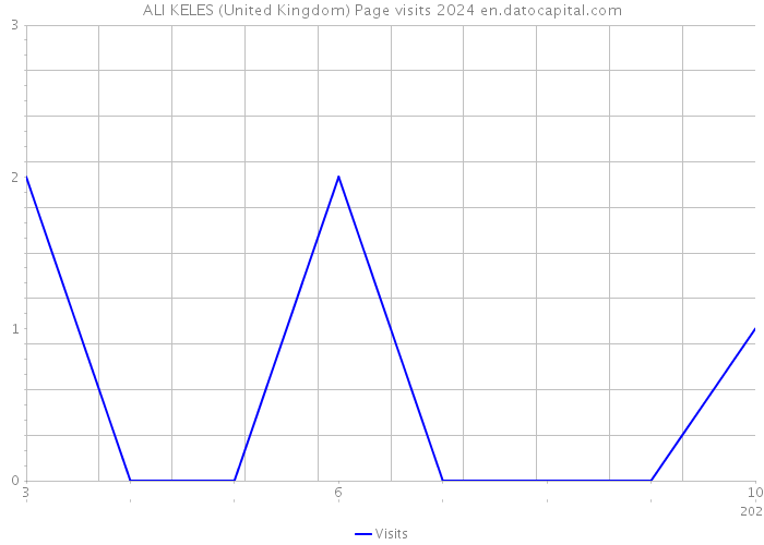 ALI KELES (United Kingdom) Page visits 2024 