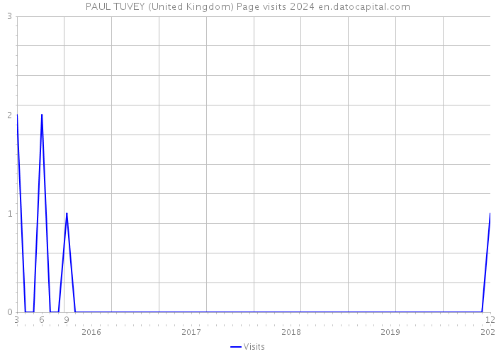 PAUL TUVEY (United Kingdom) Page visits 2024 