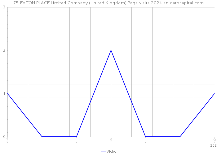 75 EATON PLACE Limited Company (United Kingdom) Page visits 2024 
