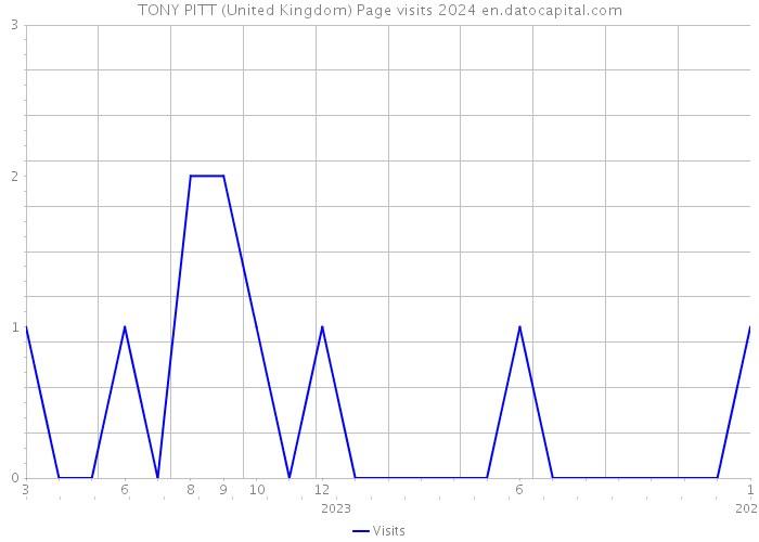TONY PITT (United Kingdom) Page visits 2024 