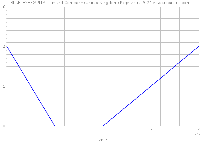 BLUE-EYE CAPITAL Limited Company (United Kingdom) Page visits 2024 