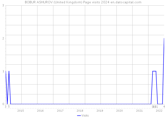BOBUR ASHUROV (United Kingdom) Page visits 2024 