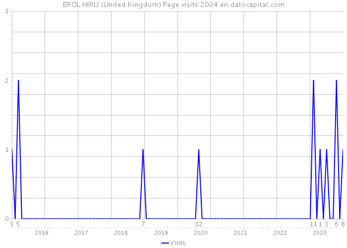 EROL HIRLI (United Kingdom) Page visits 2024 