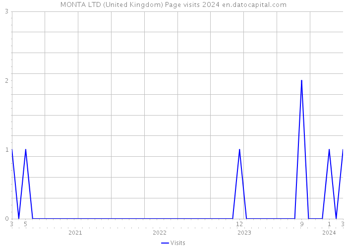 MONTA LTD (United Kingdom) Page visits 2024 