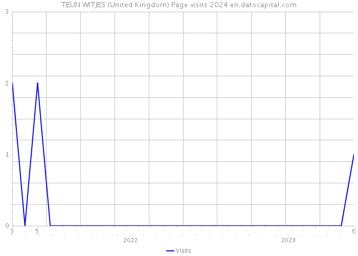 TEUN WITJES (United Kingdom) Page visits 2024 