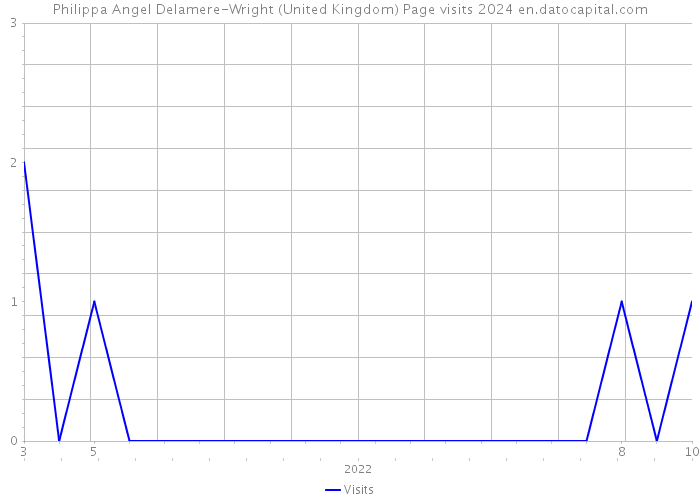 Philippa Angel Delamere-Wright (United Kingdom) Page visits 2024 