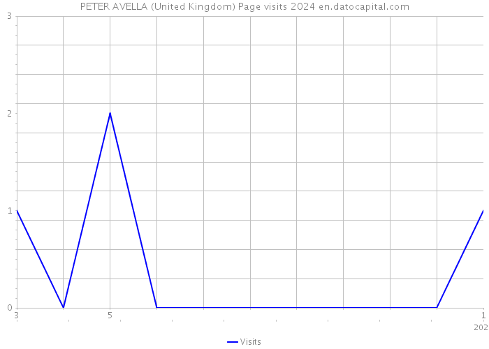 PETER AVELLA (United Kingdom) Page visits 2024 